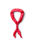Nicolaj Amour Bandana
