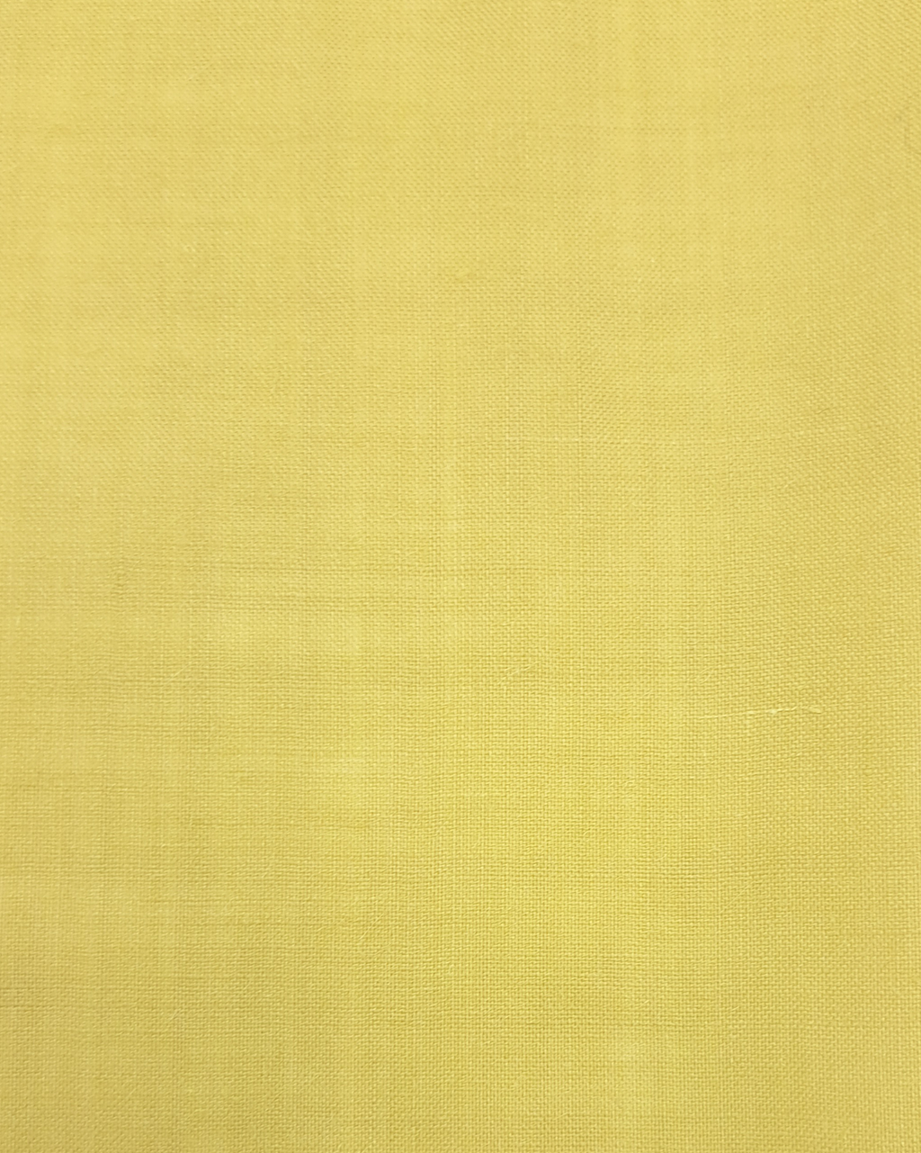 Carré de costume Marvin Hankie Kelp