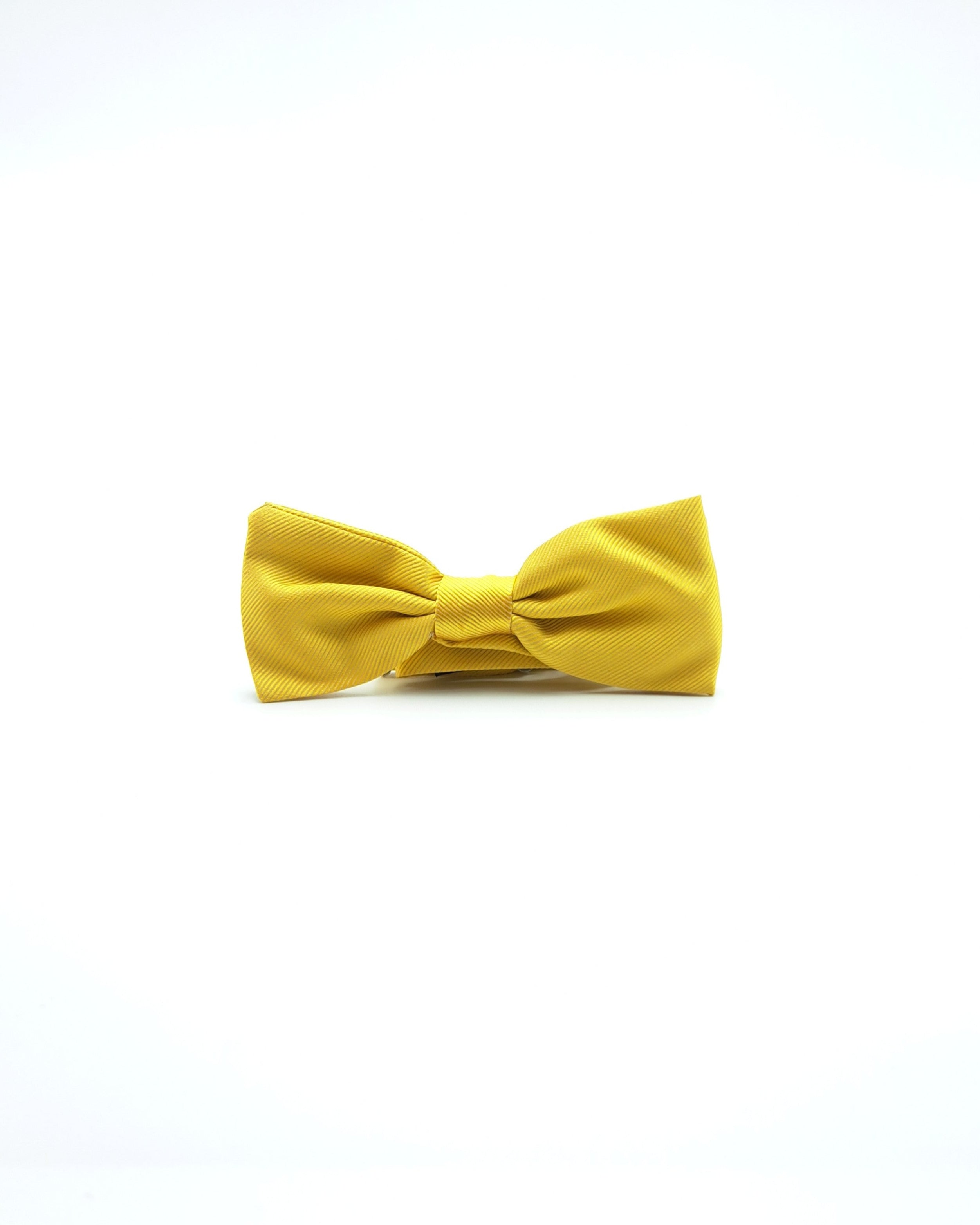 Noeud Papillon soie texture
